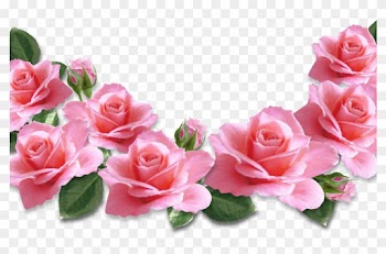 Pink Rose Clip Art Free Clip Artme - Valentines Day Pink Roses