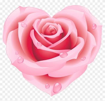 Pink Rose Clip Art - Pink Rose Clip Art