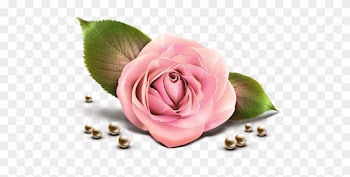 Pink Rose Clip Art - Rose With Pearl Png