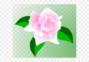 Pink-rose Clip Art - Single Pink Rose Clip Art