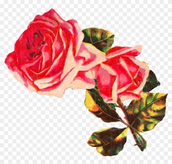 Pink Rose Clipart Collection Clip Art Png - Rose