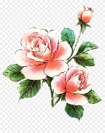 Pink Rose Clipart Dozen Rose - Pink Roses Clip Art Free