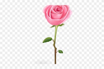 Pink Rose Clipart - Rose Icon