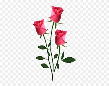 Pink Rose Clipart Small Rose - Pink Roses Png