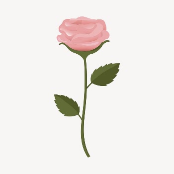 Pink rose collage element, cute | Free Vector Illustration - rawpixel
