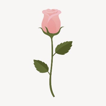 Pink rose collage element, cute | Free Vector Illustration - rawpixel