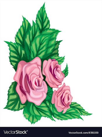 Pink Rose Design vector image