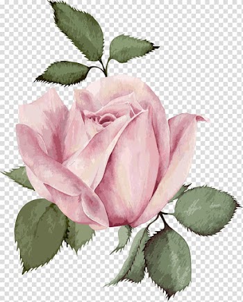 Pink rose flower art, Wedding invitation Flower Rose, flowers transparent background PNG clipart