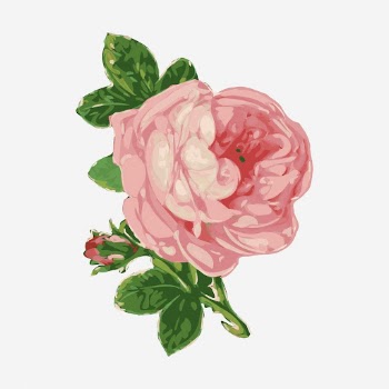 Pink rose flower clipart, vintage | Free Photo - rawpixel