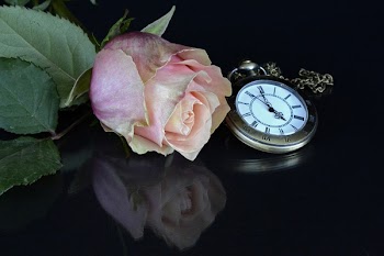 Pink Rose Flower Near Pocket Watch