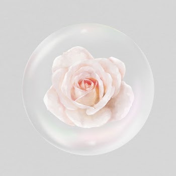 Pink rose flower sticker, Spring | Free PSD - rawpixel