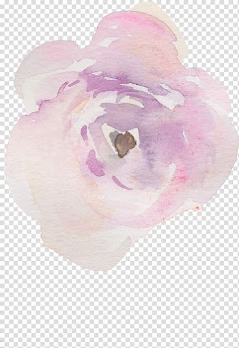 Pink rose flower , Watercolor painting Texture Drawing, Watercolor texture Hand painted flowers transparent background PNG clipart