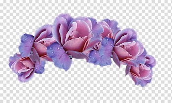 Pink rose flowers illustration, Cut flowers Purple Wreath Crown, flower crown transparent background PNG clipart