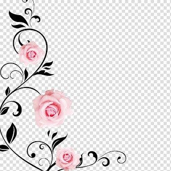 Pink rose flowers , Wall Garden roses Drawing , Flowers transparent background PNG clipart
