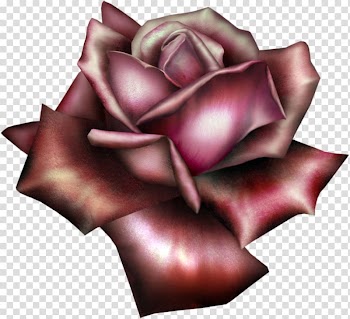 Pink rose illustration, Flower Garden roses , Beautiful Red Rose transparent background PNG clipart