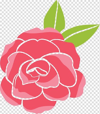 Pink rose illustration, Garden roses Beach rose Cartoon , Red rose transparent background PNG clipart