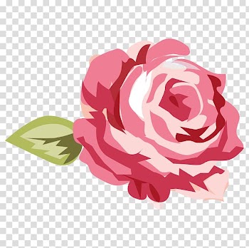 Pink rose illustration, Shabby chic Rose , Shabby transparent background PNG clipart