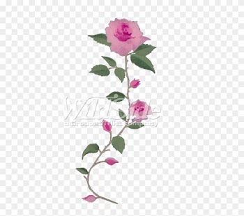 Pink Rose Long Stem