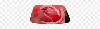 Pink Rose Low Poly Floral Bathmat - Garden Roses