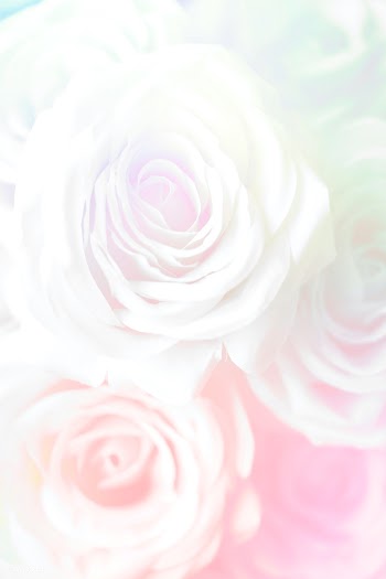Pink rose patterned background | Free  illustration - 2356217
