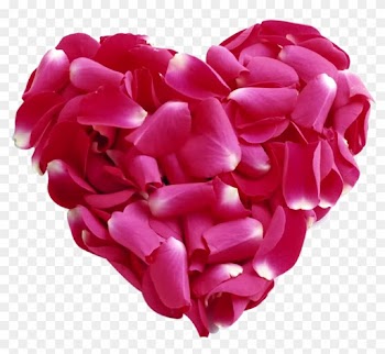 Pink Rose Petal Heart Png - Rose Patels Heart Png