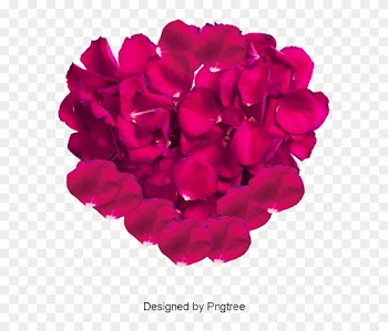 Pink Rose Petals, Rose Clipart, Pink, Rose Petal Png - Rose