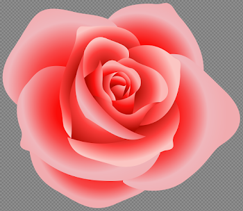 Pink Rose PNG High-Quality Image