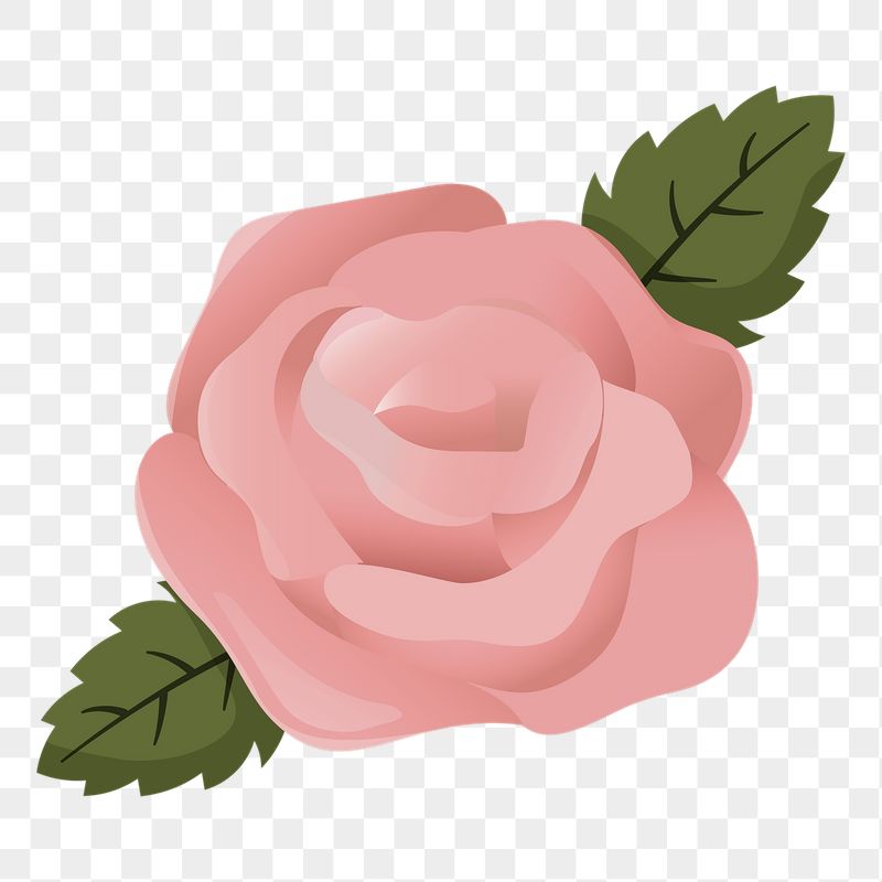 Pink rose png sticker, cute | Free PNG Illustration - rawpixel