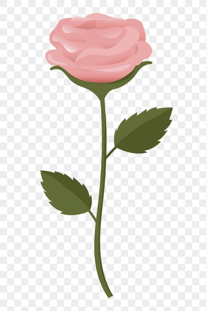 Pink rose png sticker, cute | Free PNG Illustration - rawpixel