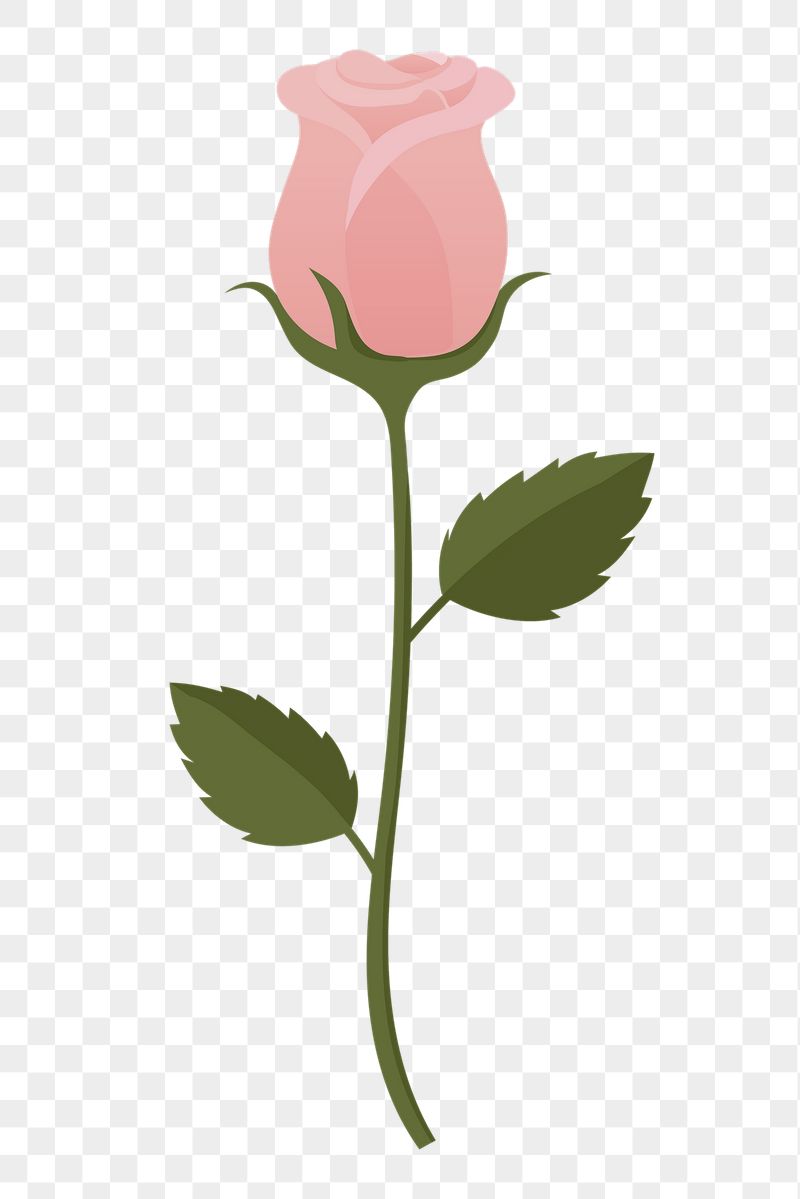 Pink rose png sticker, cute | Free PNG Illustration - rawpixel