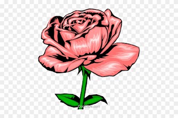 Pink Rose Royalty Free Vector Clip Art Illustration - Light Pink Roses Drawing