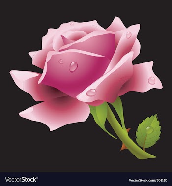  					Pink rose vector&nbsp;image														