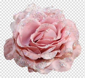 Pink rose with glitters, Centifolia roses Flower Glitter Textile, cloth transparent background PNG clipart