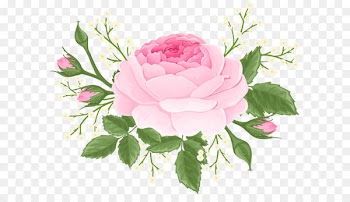 Pink Rose with White Flowers PNG Clip Art Image 