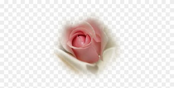 Pink Rosebud Insilk - Pink Rose Bud Png