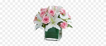 Pink Roses And White Lilies Cube In Houston, Tx - 1-800 Flowers Modern Embrace Pink Rose