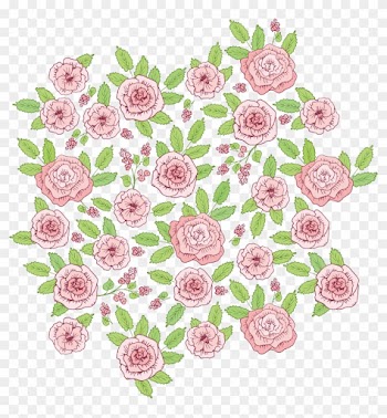 Pink Roses Beach Rose - Rose
