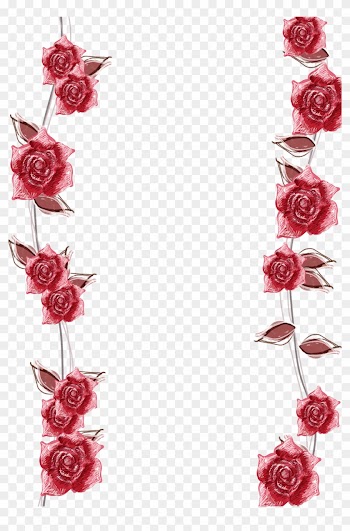 Pink Roses Border Background - Transparent Background Roses Border