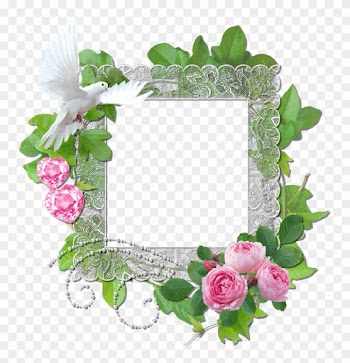 Pink Roses Cluster Frames - Picture Frame