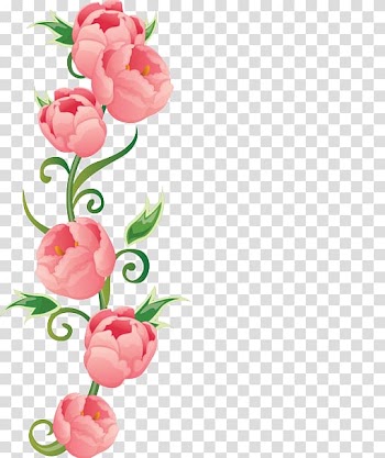 Pink roses , Flower Rose Euclidean Color, Roses transparent background PNG clipart
