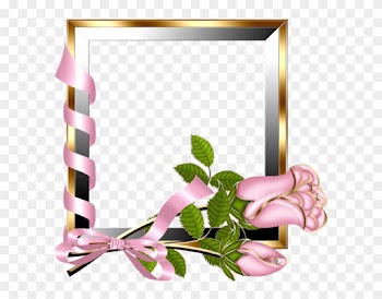 Pink Roses Frames - Light Pink Frame Png