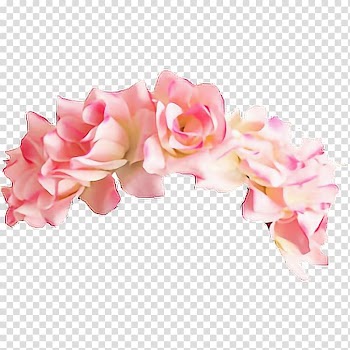 Pink roses illustration, Flower Crown , wreath transparent background PNG clipart