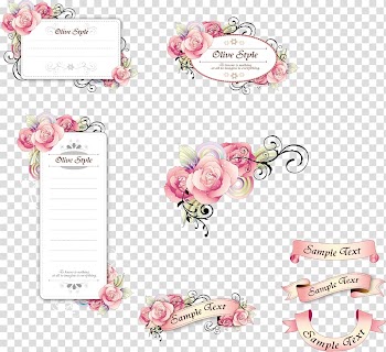 Pink roses illustration, Paper Flower Adobe Illustrator, Ribbon card and hand-painted flowers transparent background PNG clipart