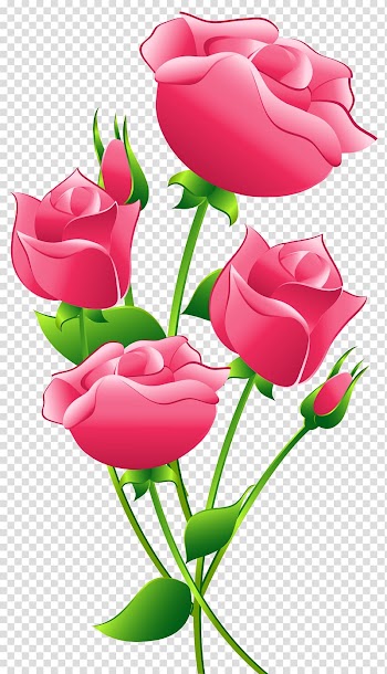 Pink roses illustration, Rose Pink , Pink Roses transparent background PNG clipart