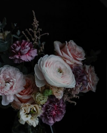 Pink Roses in Black Background · Free Stock Photo