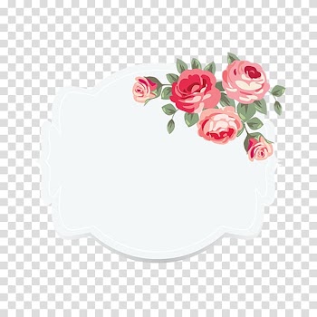Pink roses , Paper Investment fund Label Fixed income Planning, European Flowers Frame Border transparent background PNG clipart