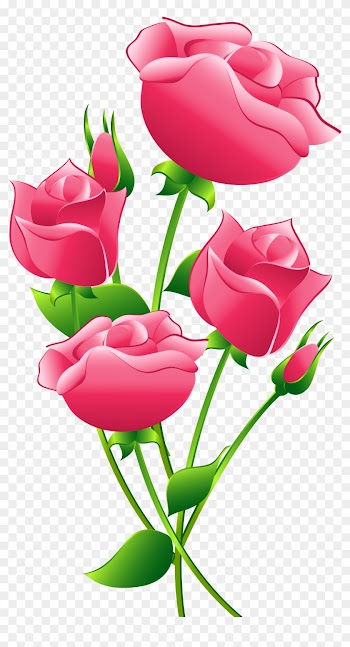 Pink Roses Transparent Clip Art Image - Pink Roses Transparent Clip Art Image