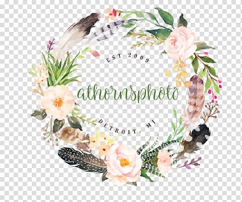 Pink roses wreath illustration, Watercolor painting Watercolour Flowers Wreath, boho chic transparent background PNG clipart