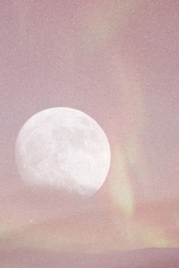Pink sky background, full moon | Free Photo - rawpixel