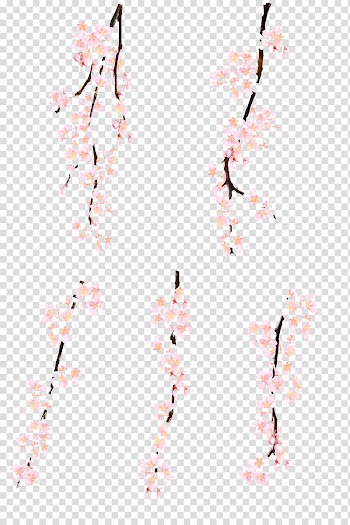 Pink tree blossoms art, Pink Cherry blossom Watercolor painting, Cherry blossoms transparent background PNG clipart